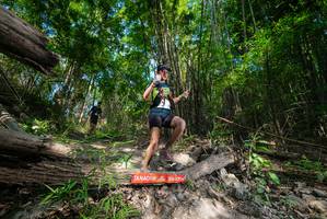 BIB: 
                            <button type="button" onclick="openModal(19388320)" class="btn btn-primary btn-sm float-right btn-popup" data-toggle="modal" data-target=".modal-high-quality">
                        <i class="fas fa-shopping-cart"></i> Add to Cart
                    </button>
                                            <button type="button" onclick="isThisMe(19388320, true)" class="btn btn-success btn-sm float-right btn-popup btn-isme hidden" data-toggle="tooltip" data-placement="bottom" title="นี่คือรูปของคุณใช่ไหม คลิกที่นี่เพื่อเอาเข้าอัลบั้ม">
                        <i class="fas fa-plus"></i> Add to album
                    </button>
                    <button type="button" onclick="isThisMe(19388320, false)" class="btn btn-warning btn-sm float-right btn-popup btn-isnotme hidden">
                        <i class="fas fa-ban"></i> Remove from album
                    </button>